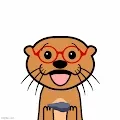 Optimistic Otters