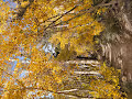 Outdoor Exploration #60264465