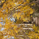 Outdoor Exploration #60264465