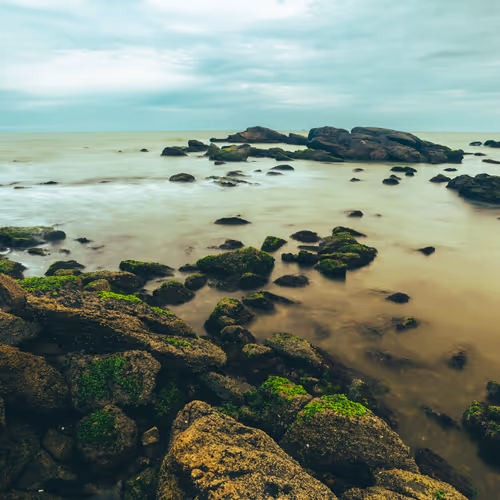 Seascapes - foundation
