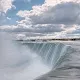 Animated NFT collection