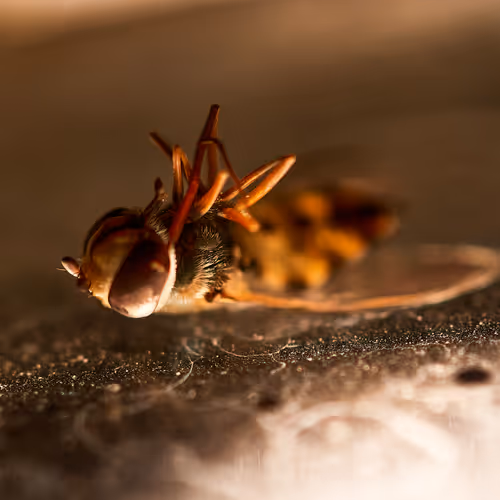 Fina Art Random Objects that Reflect Me