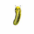 PickleKitties - old