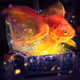 Labe omi (Underwater)