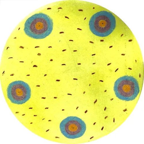 La Quebrada - Juliana Arias Ruiz