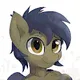 The Shy Ponies Club