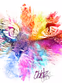 Oddz Collection - Cats 2021