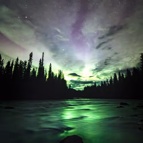 Dave Markel Editions