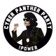 Cyber Pantherz V1