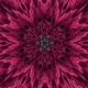 Psychedelic plant - old