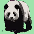 Save The Panda Collection