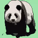Save The Panda Collection