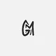 gm typo by serc1n