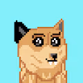 Doge Art Collection - old