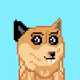 Doge Art Collection - old