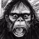 Yowie