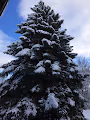 someday - panorama collection