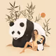 Animal Guides