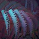 Variegation by Tom Leighton