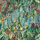 Jungle-Injury Nature invasion from plastic - old