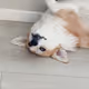 derp