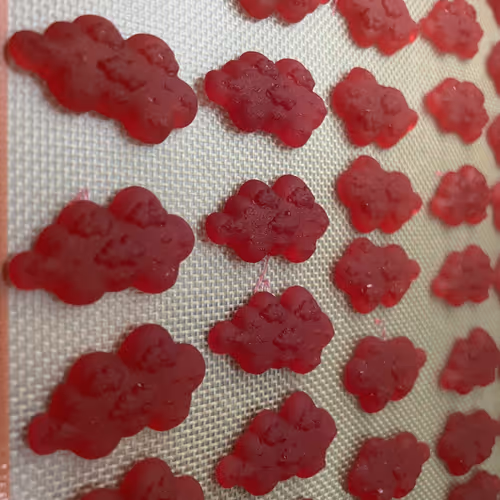 I Prompt Therefore I Am