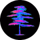 Absurd Arboretum - the Reserve
