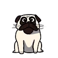 Crypto_Pug