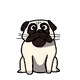 Crypto_Pug