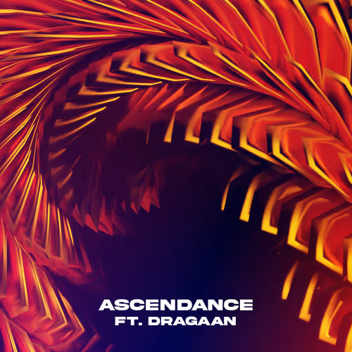 CRAVE x Dragaan