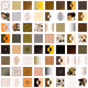 Shapes by Web3Buildoor