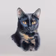 cat12cat - old