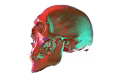 Crypto 3D Skull - old