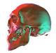 Crypto 3D Skull - old