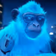 NEON APE