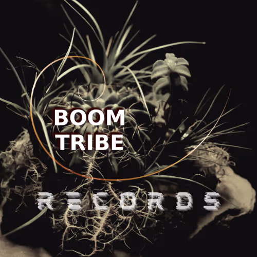 BOOM TRIBE NFTs