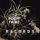 BOOM TRIBE NFTs