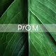 Plant one on me - old