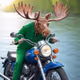 Mooseliminality: 9999 Joyrides