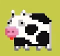 Crazy Cow