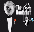 ilon - the dogfather