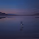 The Salt Flats