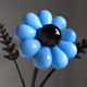 Fragile Flora: Volume II