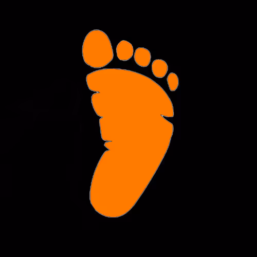 IndiFEETuals