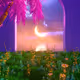 Arabian Nights (OPEN EDITION)