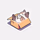 Cats in a Box - old