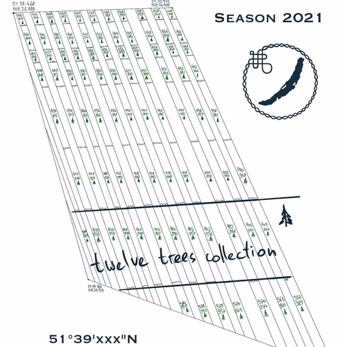 twelve trees collection