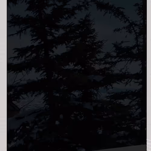 Collab Drop #2 - Alpine