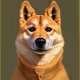 Z-DoggyS