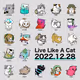 Live Like A Cat Mint SBT